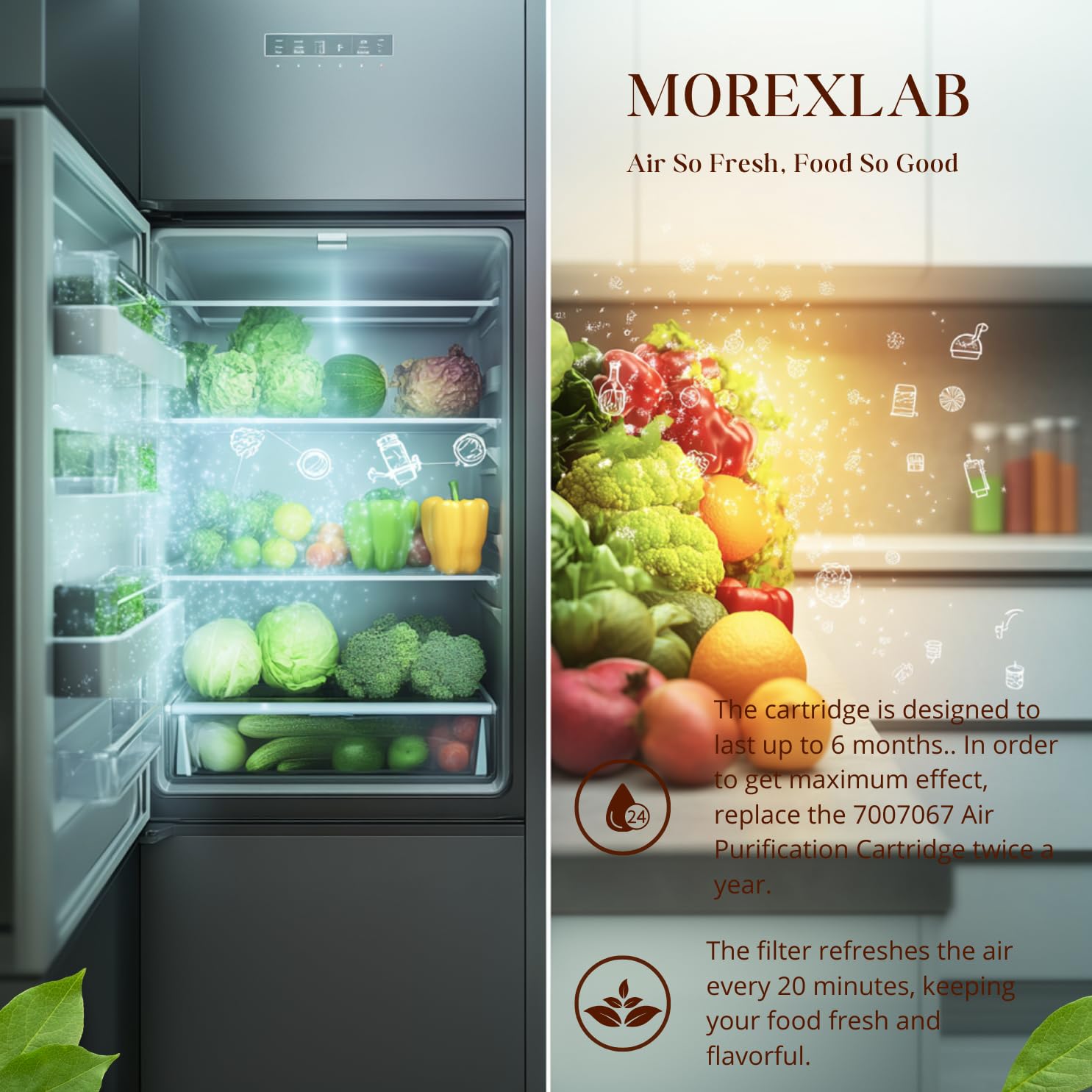 Amazon.com: MorexLab 7007067 Refrigerator Air Purification
